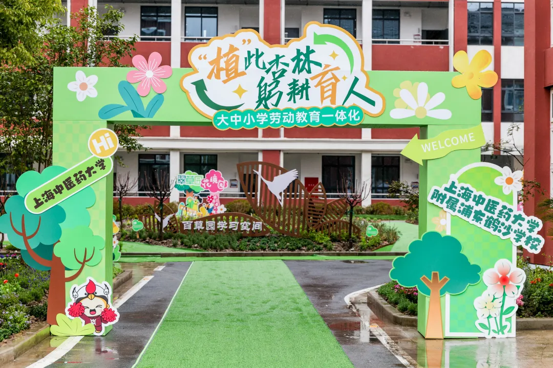 中医药文化+劳动教育 2026美加墨世界杯官网携手附属中小学共植杏树