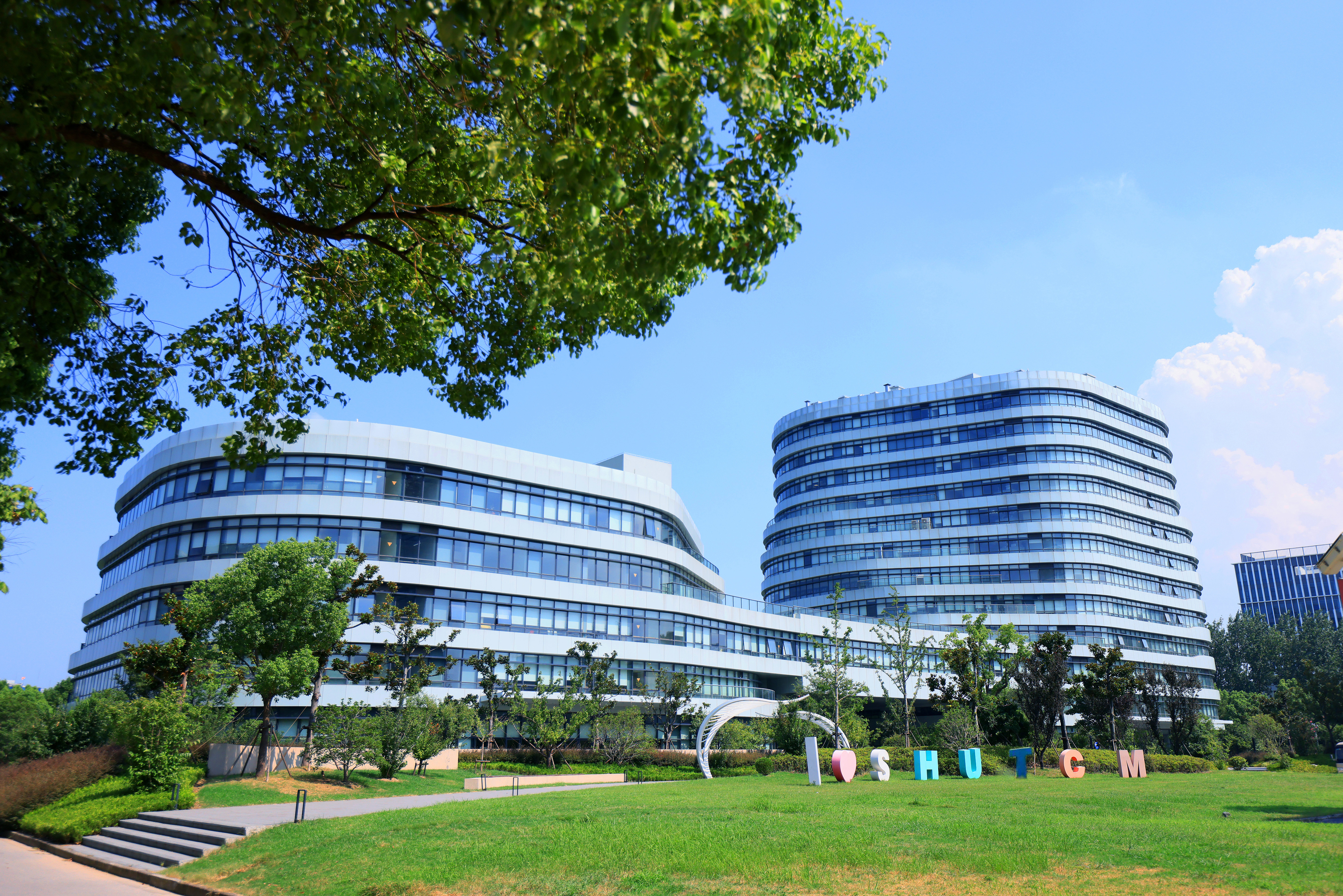 中医智能康复教育部工程研究中心徐建光教授团队在神经退行性疾病环路靶向调控机制领域取得创新性研究进展