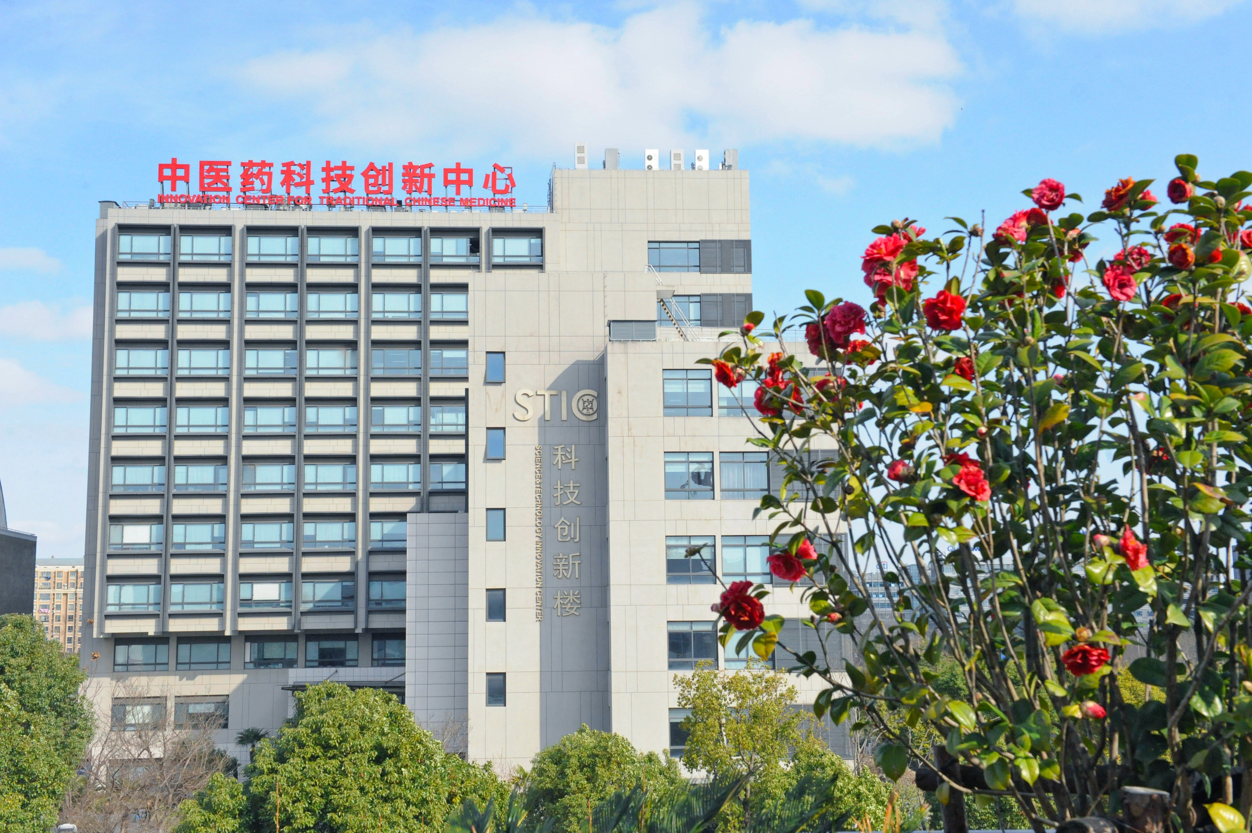 国家自然科学基金集中受理阶段结果公布，世界杯官网获资助139项