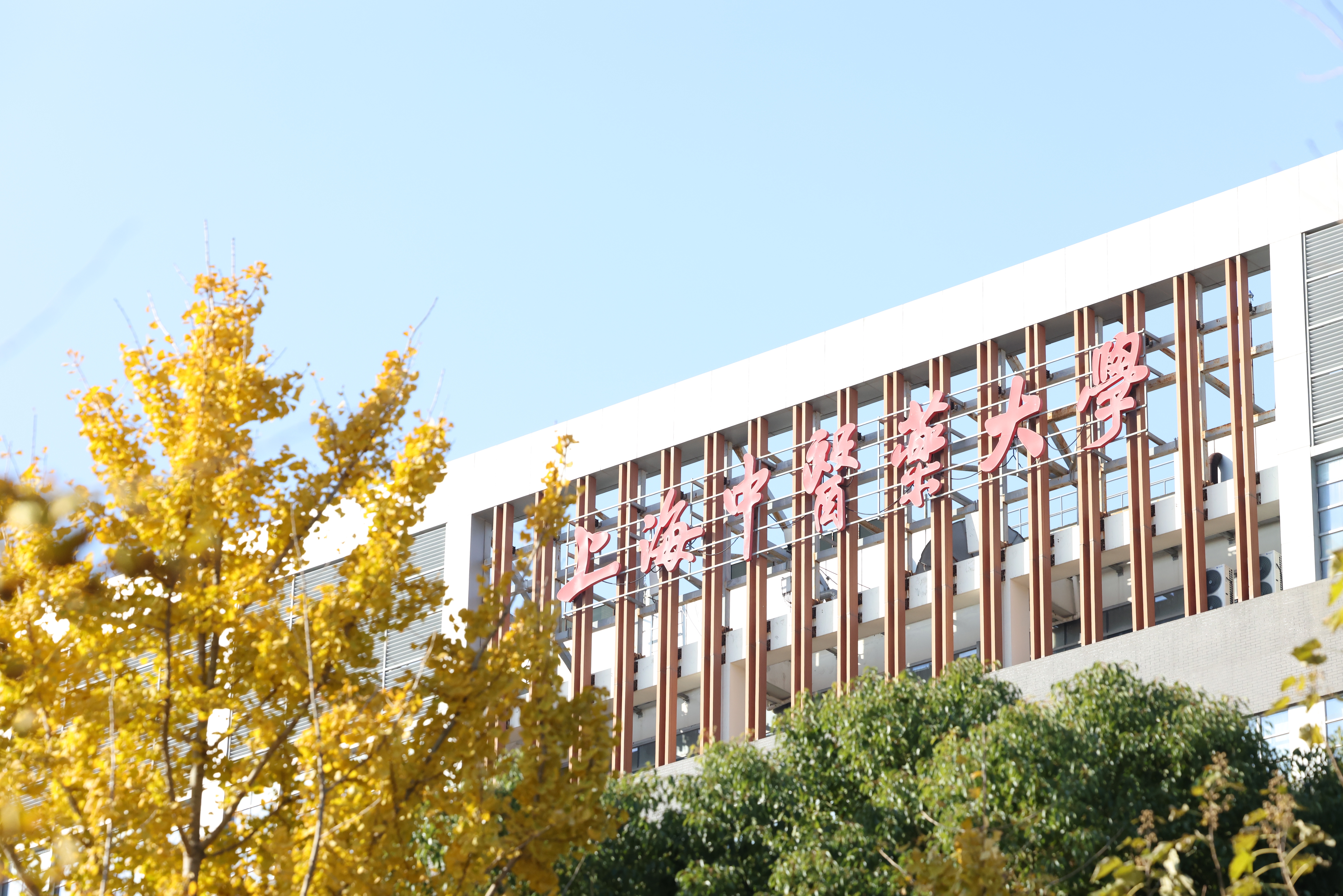 世界杯官网系统八项成果喜获2025年度中国民族医药学会科学技术奖